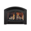 P90E DV Gas Fireplace by Regency - Image 3